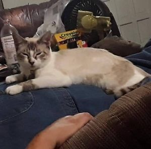 Meet your Posher, Billy